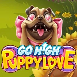 Go High Puppy Love logo – Slots by RubyPlay at Qbet Casino