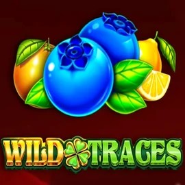 Play Wild Traces slot by Amusnet Interactive on qbet-casino.eu